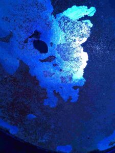 Bild: waste-art koenigsblau, ein Abfallbild von Georg Marbet