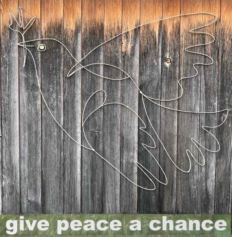 Pigeon Picasso: give peace a chance